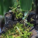 열미리보건진료소 이미지