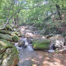 20240712금정산옛길탐방밎주등로산행