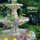 [김해/삼방] 어텀마스/꽃분수와 함께 힐링하기/숲 속의 감성카페