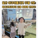 한류월드로408번길 | 일산 아쿠아플라넷 주말 오픈런 후기 2(바다코끼리, 마술 공연, 먹이주기 체험, 다흑 곤충체험 )