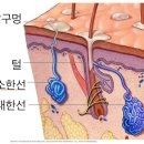 콤마더문 이미지