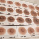 건일목욕탕 | 이케야마 인공유방 방문후기 모양과 가격 부착법까지 총정리