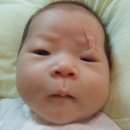 박서연 카카오 검색결과
