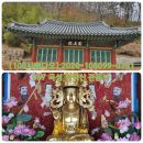 곡성-057 이미지