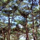 한탑공인중개사사무소 이미지