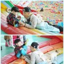 애니멀즈 이미지