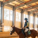 호포승마스쿨 이미지