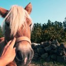 둥이농장 이미지