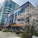 문정로48번길 이미지