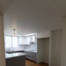 분당-217 이미지