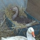 용범농장 이미지