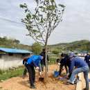 아산마을진입로 이미지