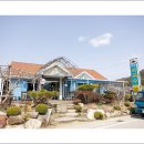 백조막국수 이미지