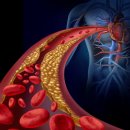 청룡헬스장 이미지