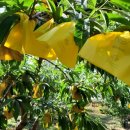 형준농장 이미지