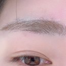 오래쉬(O’LASH) 이미지
