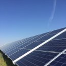 태양 행정사사무소 이미지