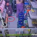 대범벅도