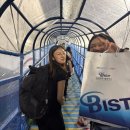 북면116 | 울릉도 2박 3일 일정 / 스노클링 스팟 / 독도 방문 후기(호우주의보)