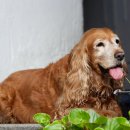 서울앤 동물병원 이미지