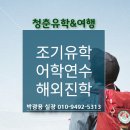 청춘여행사