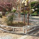 학산초등학교 이미지