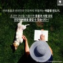 위드펫동물병원 이미지