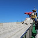 주말 | 일산 실내 눈썰매장 원마운트 스노우파크 주말 방문 후기