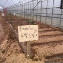 유안농장 이미지