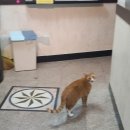 고래불모텔 이미지