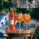 차오 이탈리아 | 을지로 데이트 느좋와인바 차오 방문후기 (+너무 예쁜 와인트리)