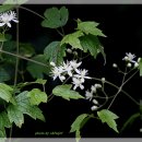 노루마당 이미지