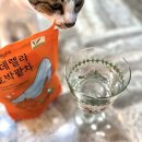 푸딜라이트 이미지
