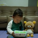 성연허브