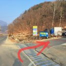 숲 펜션 이미지