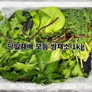 고기의 민족 이미지