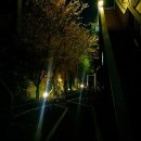 밀양관광펜션 아름드리 이미지