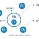 제일2차동물메디컬센터 이미지