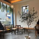 평화로 43번길 | [목포카페]오키나와 파라솔, 목포 평화광장 근처 카페 솔직 후기