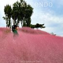 안면도할인마트 | 태안 안면도 가족여행 펜션 추천 핑크뮬리 정원이 있는 숙소 지중해 아침펜션