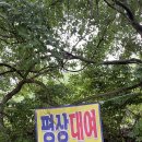 지하수 풀장이 있는 청도 등나무펜션 🌊🌳🪵