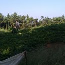 류진농장 이미지