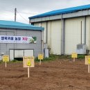 키움농장 이미지