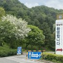 힐링당구장 | 청주 가볼만한 곳 청남대 본관 내부 후기 대통령별장 숙박 프로그램 가격 예약 정보