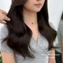 아담장 이미지