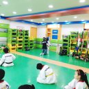 당리태권도 이미지