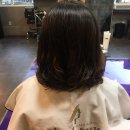 인살롱(In salon)