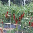 호연농장 이미지