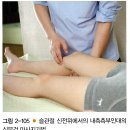 (치료)Hamsting ms fuctional massage/stretching 이미지