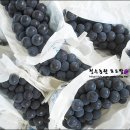 청수농원 이미지